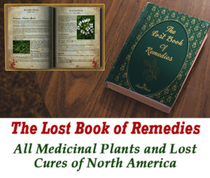 natural remedies cures review