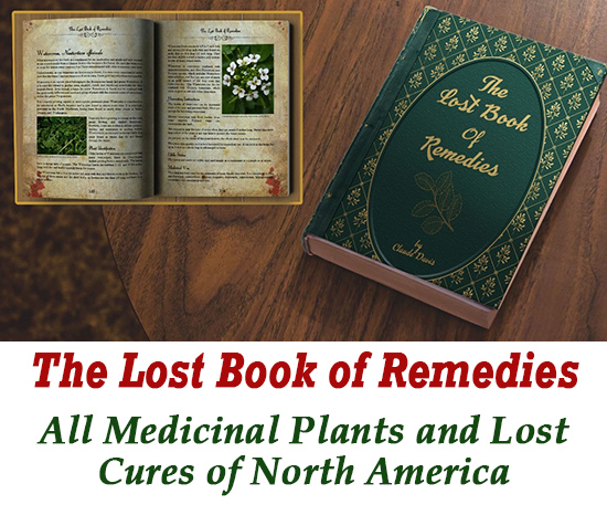 natural remedies cures review